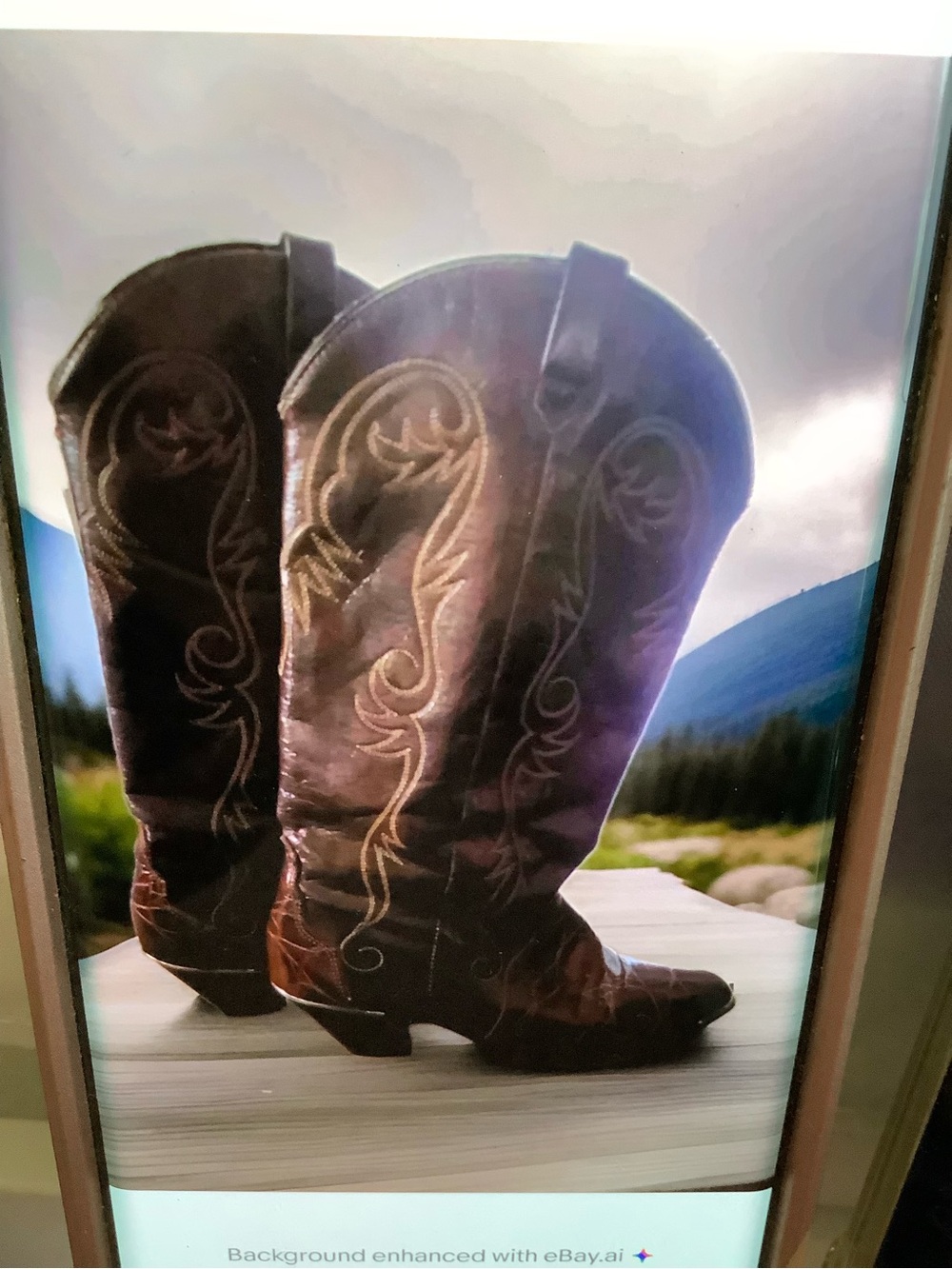 ACME Brown Embroidered Leather Cowboy Heeled Boots